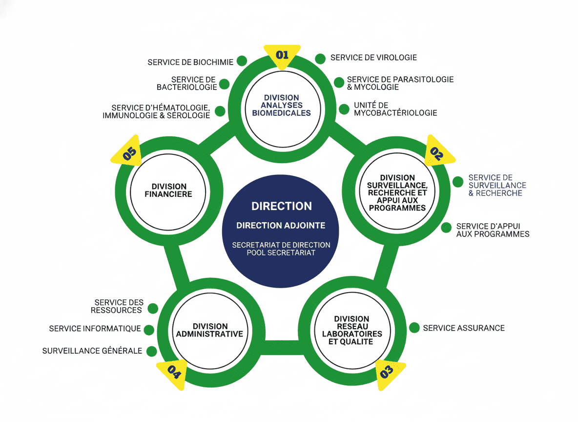 Organigramme du LNSP