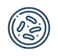 MYCOBACTERIOLOGIE