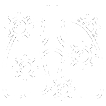 TUBERCULOSE